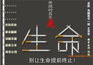 瀏陽市平面設計與軟件開發 融合創意與科技，打造品牌新動力